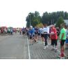 010--Dieter-Meinecke-Lauf 2014.jpg